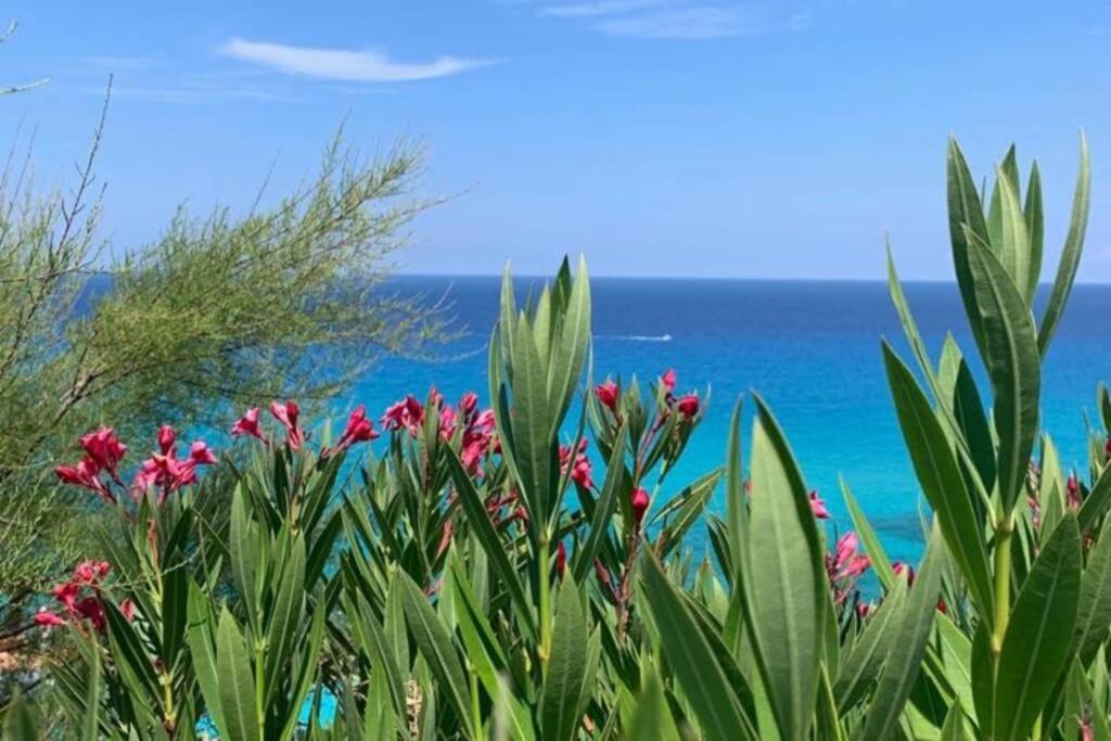 Boutique Apartment With Beach Within Walking Distance, Near Tropea Parghelia Zewnętrze zdjęcie